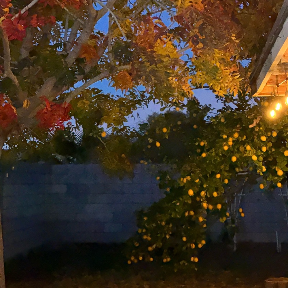 Meet your Posher, Gabi